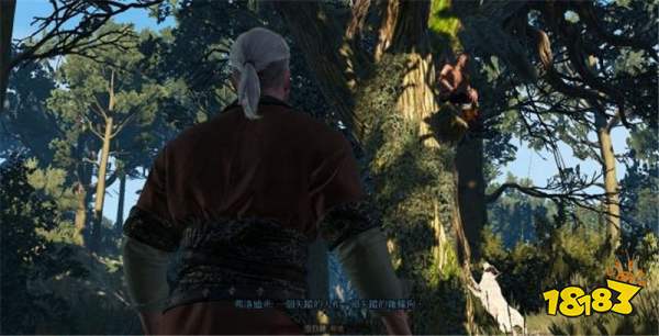 巫師3陽間派對任務(wù)怎么做 陽間派對2任務(wù)攻略