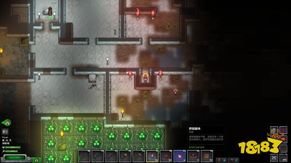 开普勒斯怎么抓野猪王 宠物野猪王捕获技巧