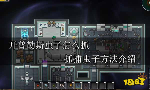 開普勒斯蟲子怎么抓 抓捕蟲子方法介紹