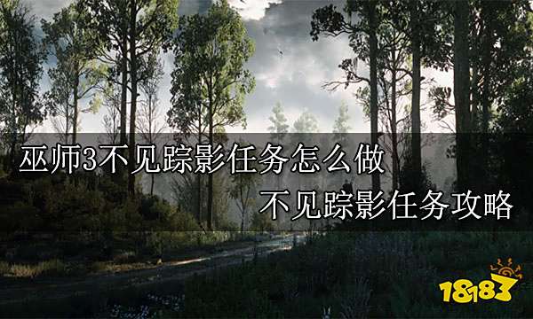 巫师3不见踪影任务怎么做 不见踪影任务攻略