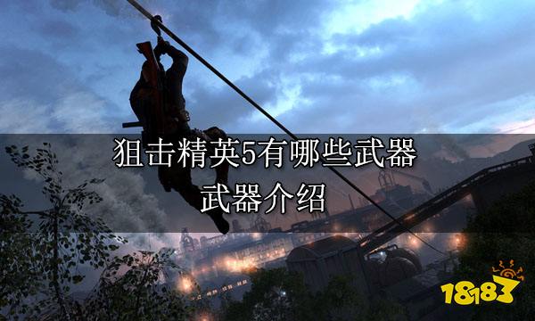 狙击精英5有哪些武器 武器介绍
