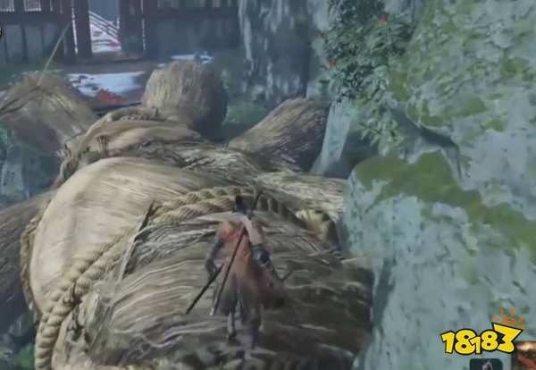 只狼源之宮怎么去 前往源之宮方法分享