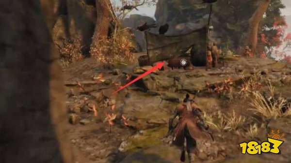 只狼柿子在哪里刷 刷柿子地點分享