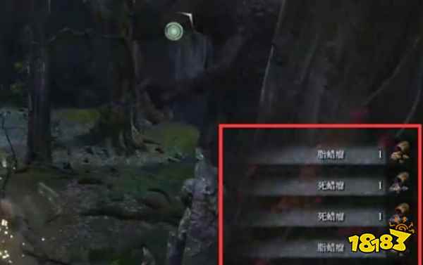 只狼脂蠟瘤怎么刷 刷脂蠟瘤地點分享