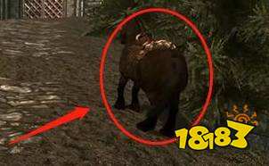 上古卷轴5怎么召唤马 召唤马匹方法分享