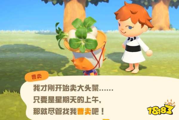 動物森友會大頭菜怎么得到 獲得大頭菜方法分享