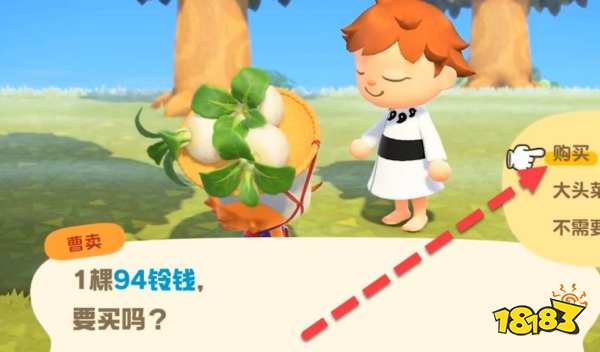 動物森友會大頭菜怎么得到 獲得大頭菜方法分享