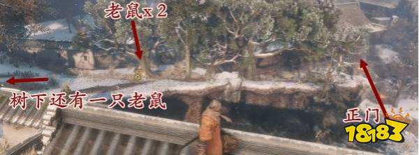 只狼老鼠任務怎么完成 獵殺老鼠怎么完成