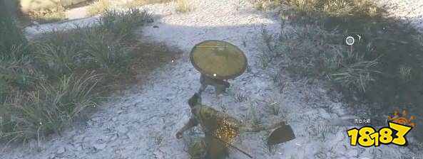 只狼老鼠任務怎么完成 獵殺老鼠怎么完成