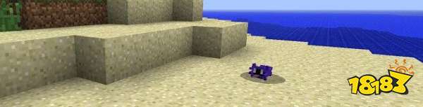 我的世界神奇宝贝模组分享 MC最火神奇宝贝模组介绍