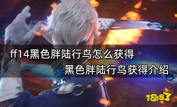 ff14黑色胖陆行鸟怎么获得 黑色胖陆行鸟获得介绍