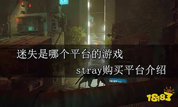 迷失是哪个平台的游戏 stray购买平台介绍