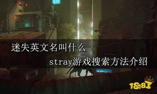 迷失英文名叫什么 stray游戏搜索方法介绍