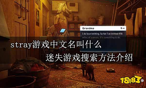 stray游戏中文名叫什么 迷失游戏搜索方法介绍