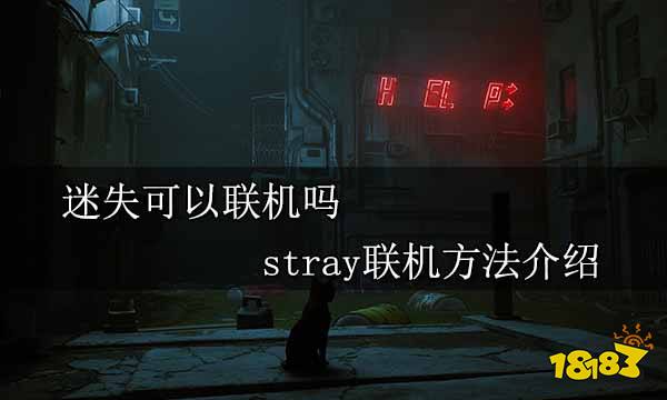 迷失可以联机吗 stray联机方法介绍