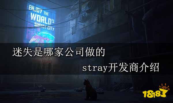 迷失是哪家公司做的 stray开发商介绍