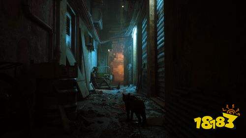 迷失Stray在Steam多少钱 Steam价格介绍