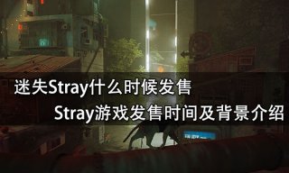 迷失Stray什么时候发售 Stray游戏发售时间及背景介绍