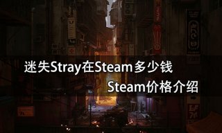 迷失Stray在Steam多少钱 Steam价格介绍