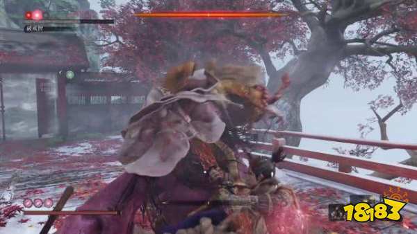只狼神之飛雪怎么刷 刷神之飛雪位置分享