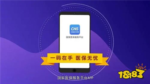 國家醫保服務平臺
