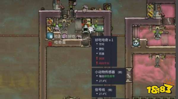 缺氧哈奇怎么养殖 哈奇养殖攻略