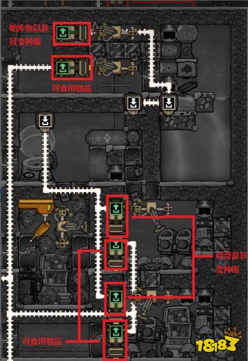 缺氧如何获得稳定的食物来源 稳定的食物来源获得方式