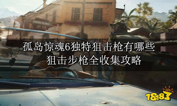 孤岛惊魂6独特狙击枪有哪些 狙击步枪全收集攻略