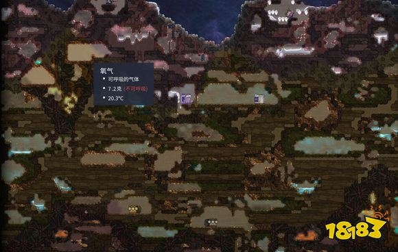 缺氧眼冒金星生态有什么特点 眼冒金星生态特点介绍