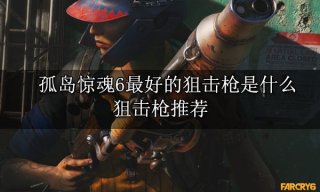 孤岛惊魂6最好的狙击枪是什么 狙击枪推荐