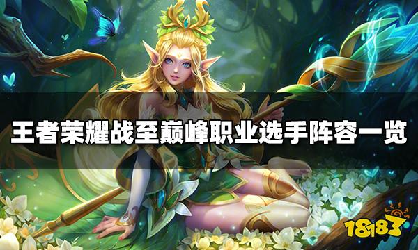 王者荣耀战至巅峰职业选手有谁 节目职业选手阵容一览