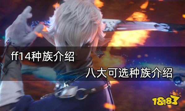 ff14种族介绍 八大可选种族介绍