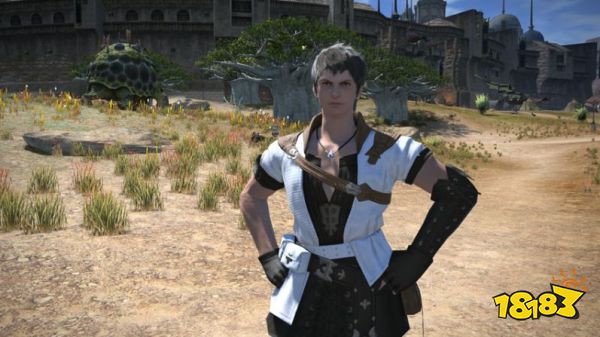 ff14種族介紹 八大可選種族介紹