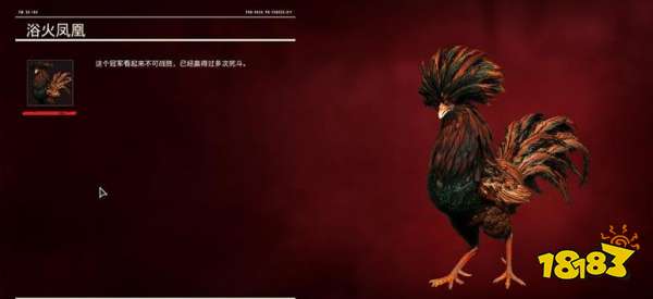 孤島驚魂6斗雞怎么獲得 斗雞獲得位置介紹