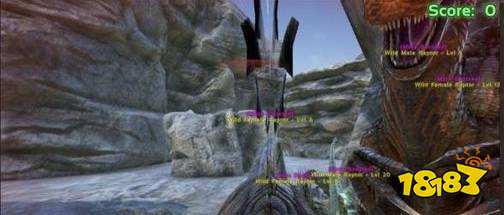 方舟生存进化怎么加载mod mod使用加载方法介绍