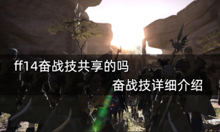 ff14奋战技共享的吗 奋战技详细介绍