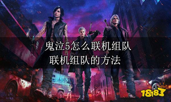 鬼泣5怎么联机组队 联机组队的方法