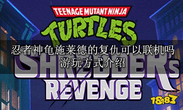 忍者神龟施莱德的复仇可以联机吗 游玩方式介绍