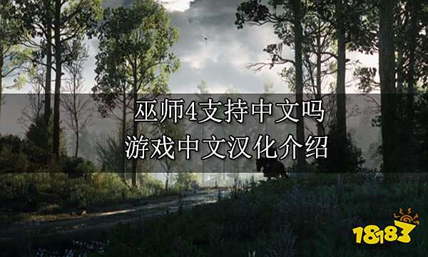 巫师4支持中文吗 游戏中文汉化介绍