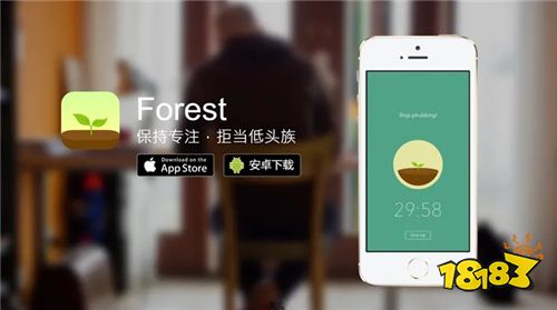 Forest专注森林