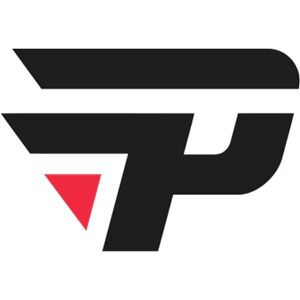 CSGO战队paiN战队厉害吗 paiN战队排名及资料详细介绍