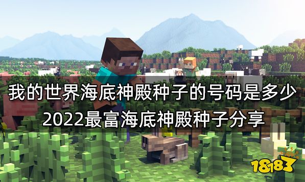 我的天下种子推选2022最新种子 2022最新最佳玩16款种子共享