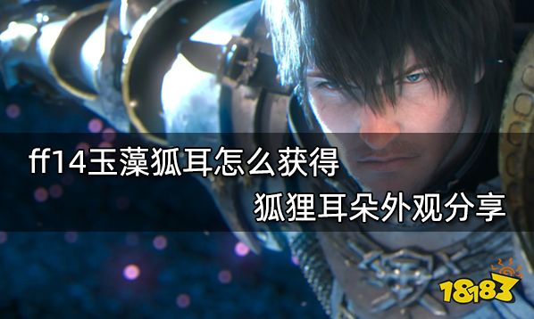ff14玉藻狐耳怎么获得 狐狸耳朵外观分享