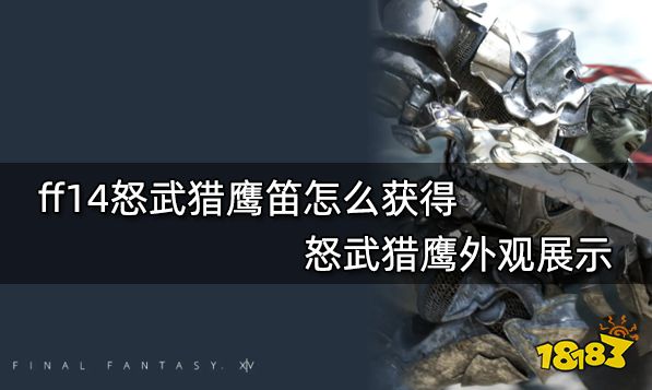 ff14怒武猎鹰笛怎么获得 怒武猎鹰外观展示