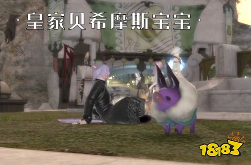ff14皇家貝希摩斯寶寶怎么獲得 皇家貝希摩斯寶寶外觀展示