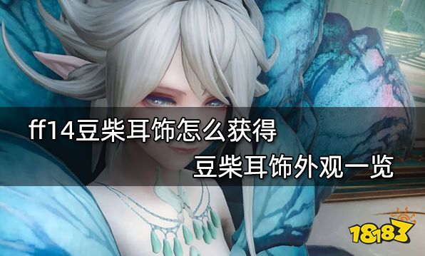 ff14豆柴耳饰怎么获得 豆柴耳饰外观一览
