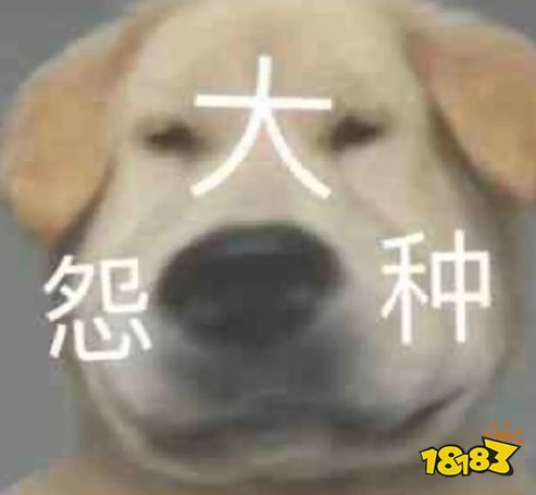 薅羊毛把XGP薅炸了:引来巨硬秋后算账的,是无数赚麻了的JS