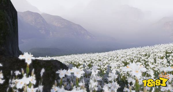 天涯明月刀茶话会答案是什么 茶话会全答案攻略