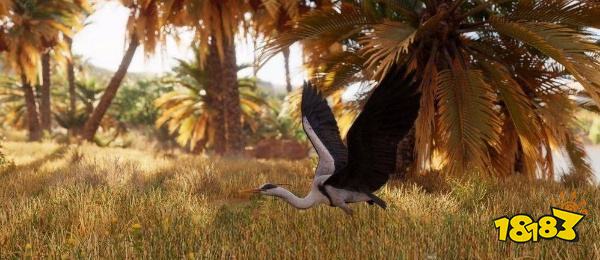 刺客信条起源苍鹭羽毛在哪 苍鹭羽毛攻略方法