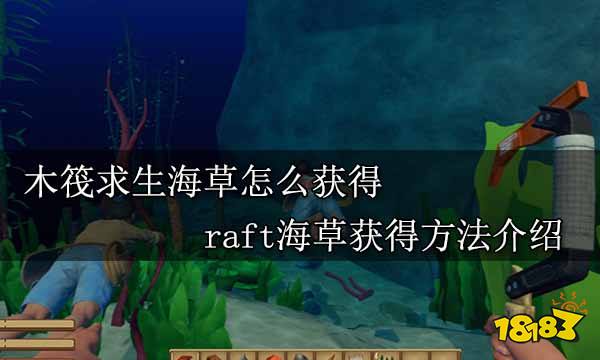 木筏求生海草怎么获得 raft海草获得方法介绍